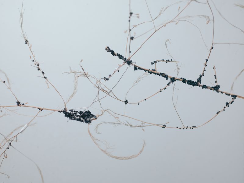 © Natalya Madilyan - Image from the Falling In photography project