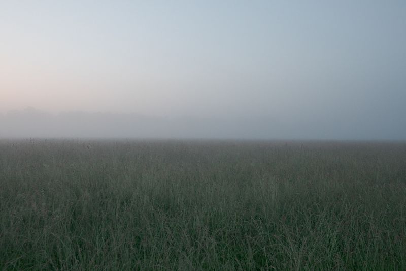 © Natalya Madilyan - Image from the Falling In photography project