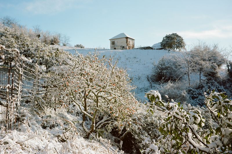 © Natalya Madilyan - Brief snow showers in the area around the family home. The snow will disappear within a few hours.