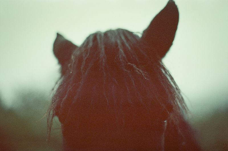 © Natalya Madilyan - Image from the Look at Us Tenderly photography project