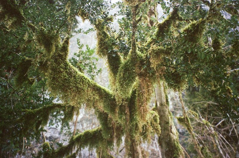 © Natalya Madilyan - Image from the Look at Us Tenderly photography project