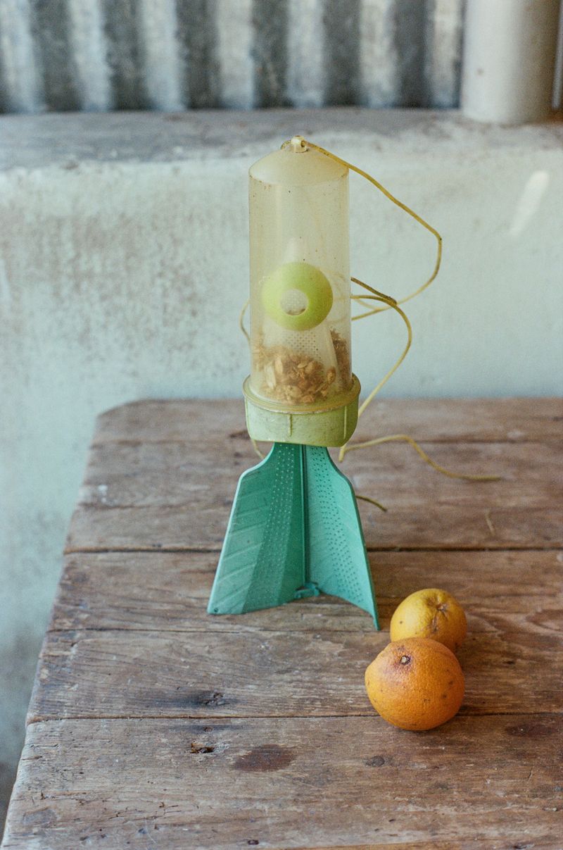 © Natalya Madilyan - Insect traps help control pests. Ecologists install similar structures to protect boxwoods from the boxwood moth.