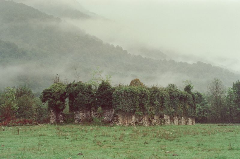 © Natalya Madilyan - Image from the Look at Us Tenderly photography project