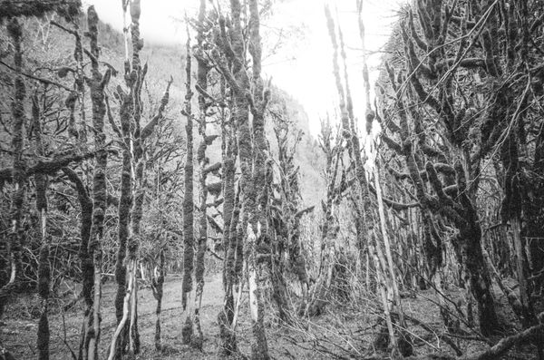 © Natalya Madilyan - Image from the Look at Us Tenderly photography project