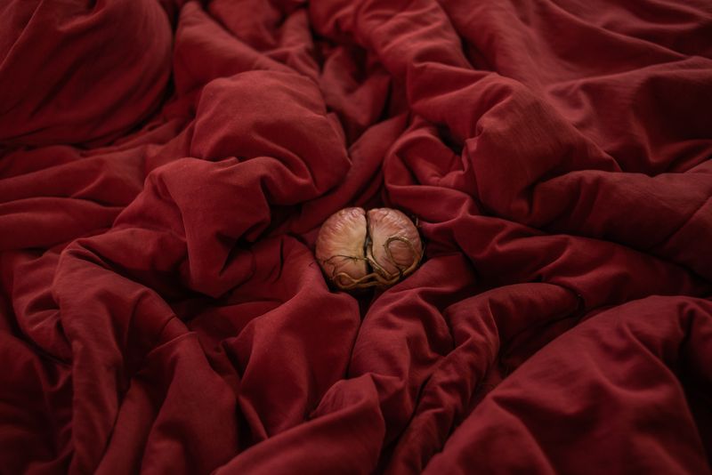 © Ilana Bar - Image from the metamorphosis photography project