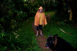 transparências de lar