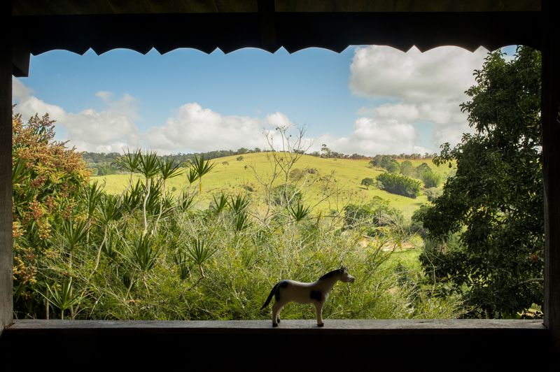 © Ilana Bar - Image from the transparencia de lar  (transparencies of home) photography project