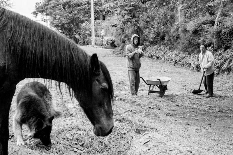 © Ilana Bar - Image from the transparencias de lar (home transparencies) photography project