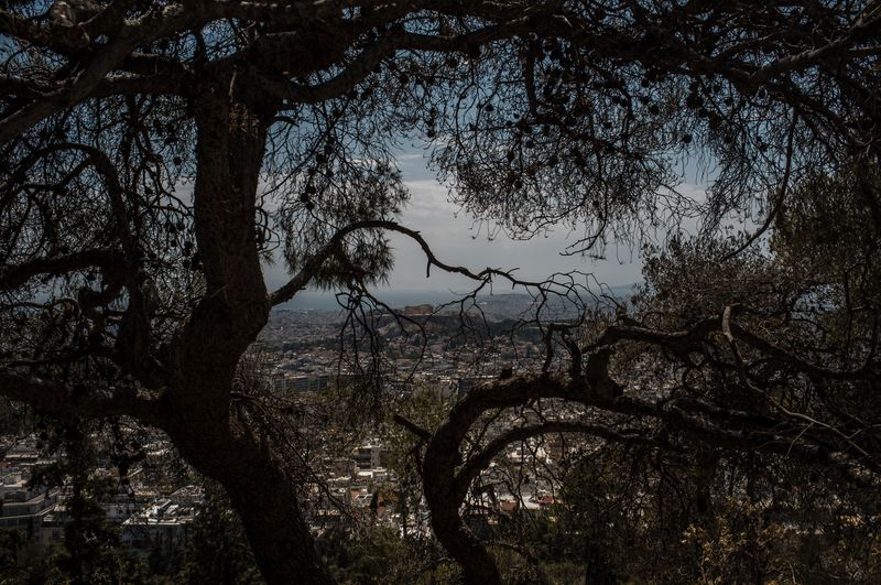 © Alinne Rezende - Image from the The last letter: what remains behind photography project
