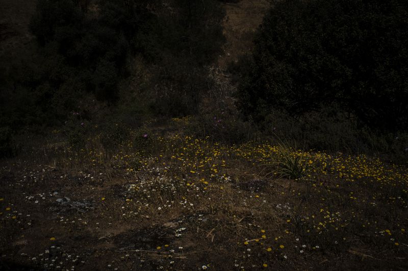 © Alinne Rezende - Image from the The last letter: what remains behind photography project