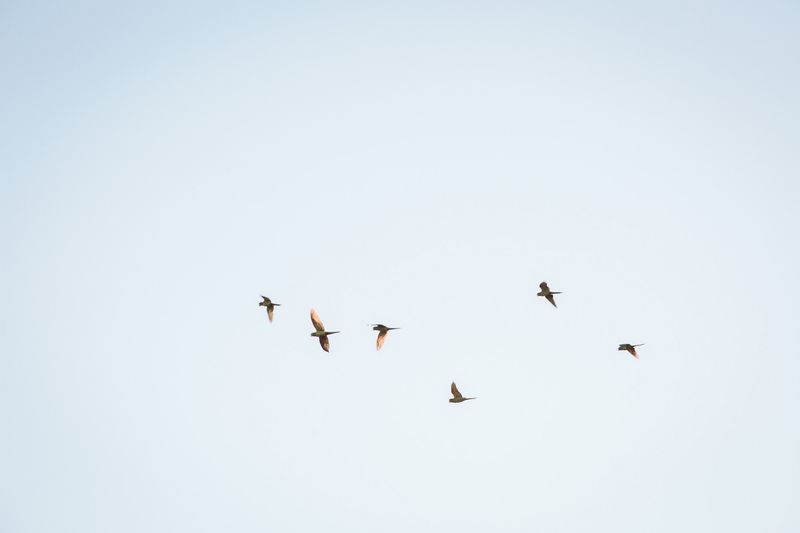 © Alinne Rezende - Image from the A note to myself photography project