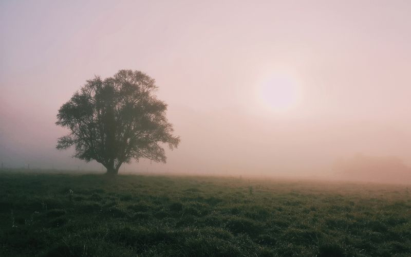 © Alinne Rezende - Image from the A note to myself photography project