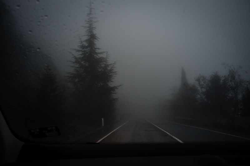 © Alinne Rezende - The Last Letter: What Remains Behind