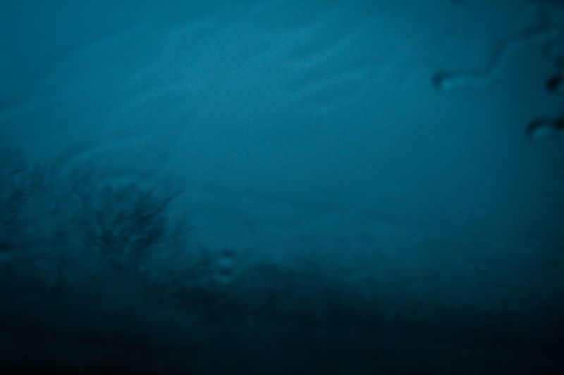 © Alinne Rezende - The Last Letter: What Remains Behind