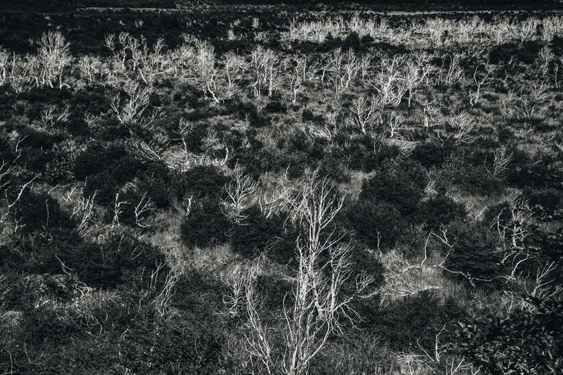 © Alinne Rezende - Image from the untitled photography project