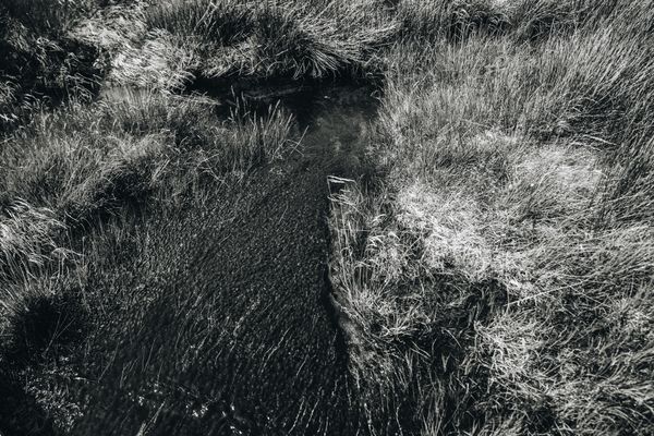 © Alinne Rezende - Image from the untitled photography project