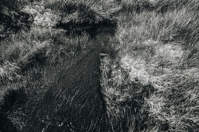 © Alinne Rezende - Image from the untitled photography project
