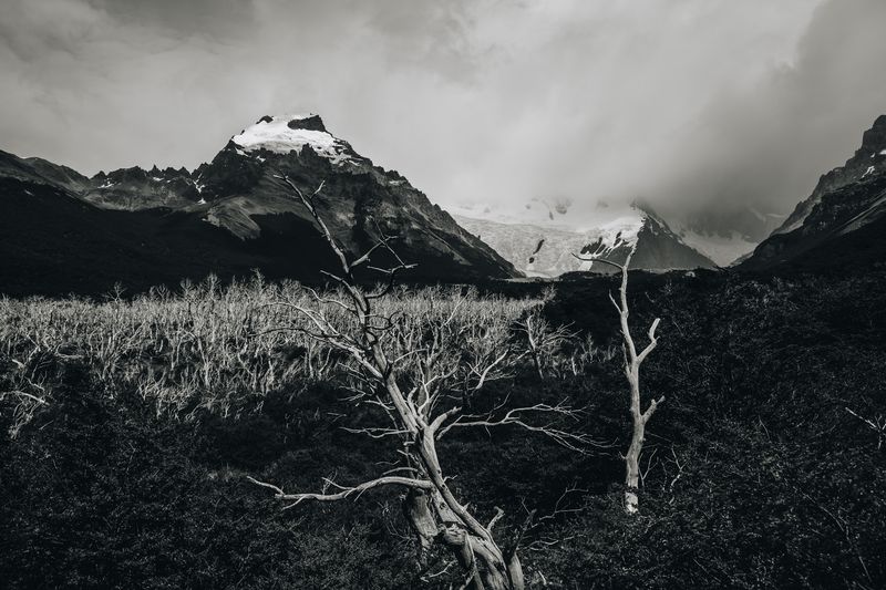 © Alinne Rezende - Image from the untitled photography project