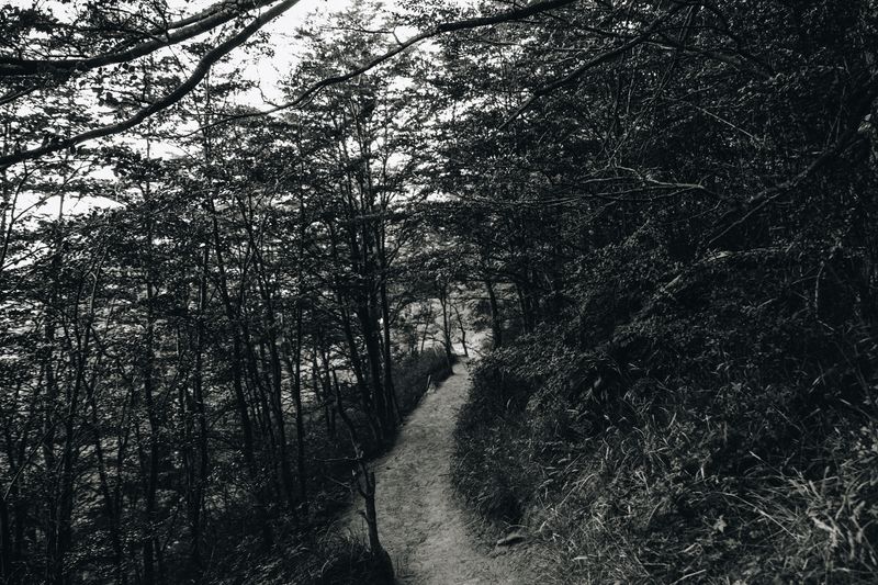 © Alinne Rezende - Image from the untitled photography project