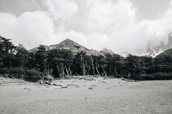 © Alinne Rezende - Image from the untitled photography project