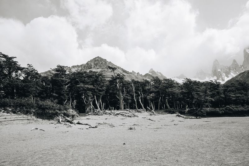 © Alinne Rezende - Image from the untitled photography project