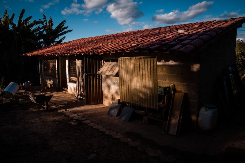 © Alinne Rezende - Image from the Life of a chicken farm during the Covid-19 pandemic in Brazil photography project
