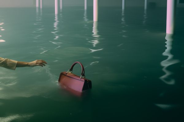 © Lisa Carletta - Image from the Greetings from a place where birds no longer sing. photography project