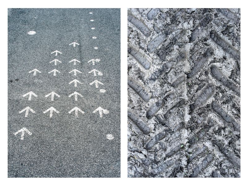© Jakub Pasierkiewicz - Image from the Natural resemblance photography project