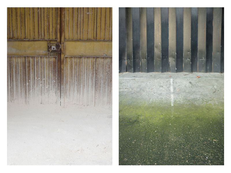 © Jakub Pasierkiewicz - Image from the Natural resemblance photography project