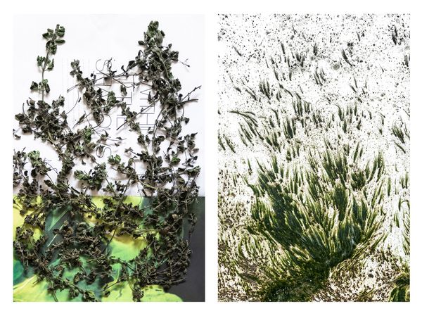 © Jakub Pasierkiewicz - Image from the Natural resemblance photography project