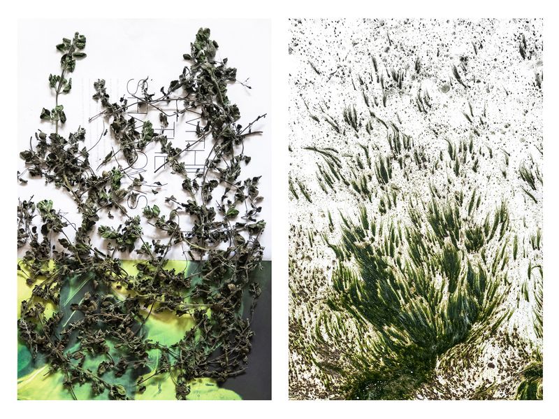 © Jakub Pasierkiewicz - Image from the Natural resemblance photography project