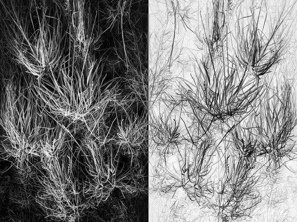 © Jakub Pasierkiewicz - Image from the The inverted world photography project