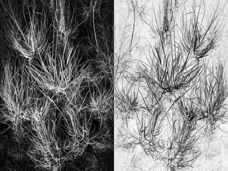 © Jakub Pasierkiewicz - Image from the The inverted world photography project