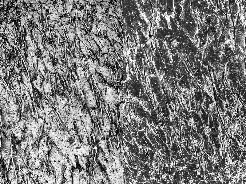 © Jakub Pasierkiewicz - Image from the The inverted world photography project