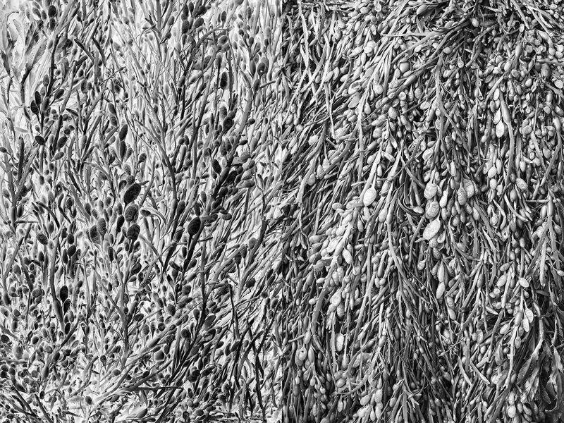 © Jakub Pasierkiewicz - Image from the The inverted world photography project