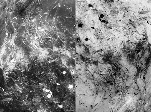 © Jakub Pasierkiewicz - Image from the The inverted world photography project