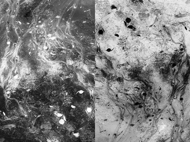 © Jakub Pasierkiewicz - Image from the The inverted world photography project