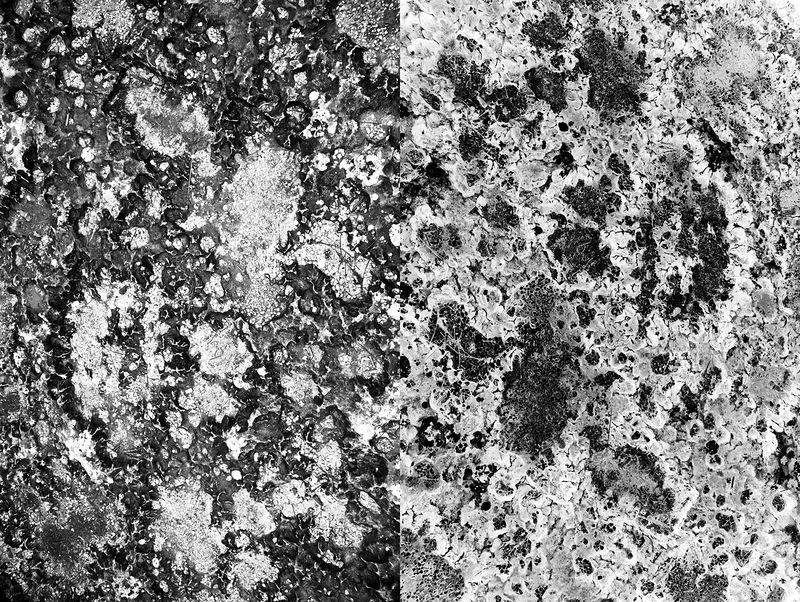 © Jakub Pasierkiewicz - Image from the The inverted world photography project