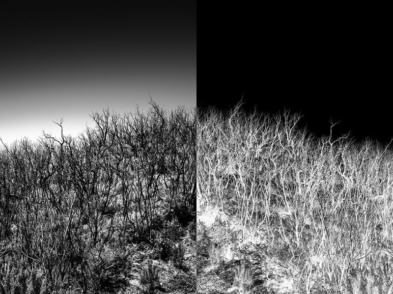 © Jakub Pasierkiewicz - Image from the The inverted world photography project