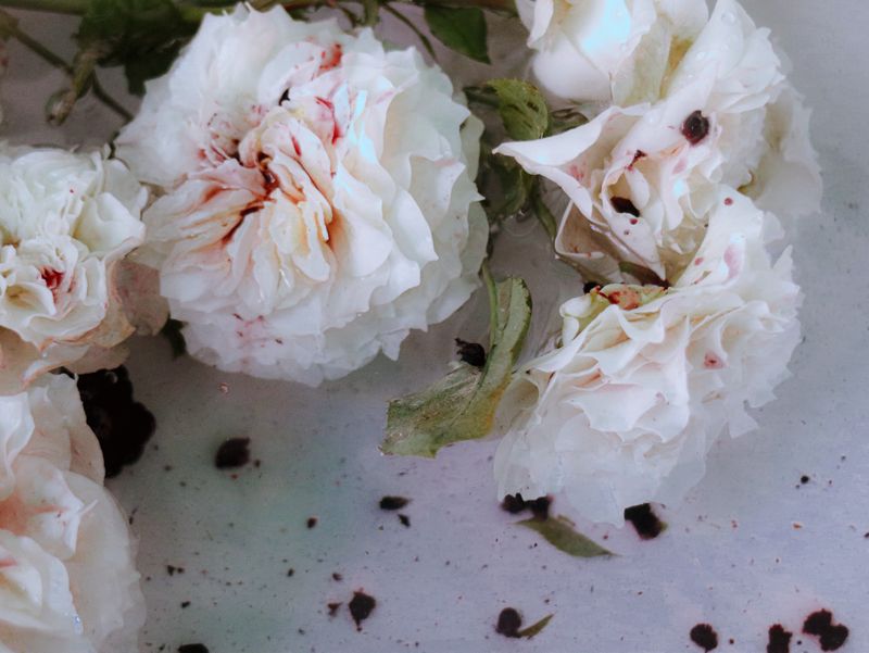 © Wenrui Wu - Image from the tender photography project