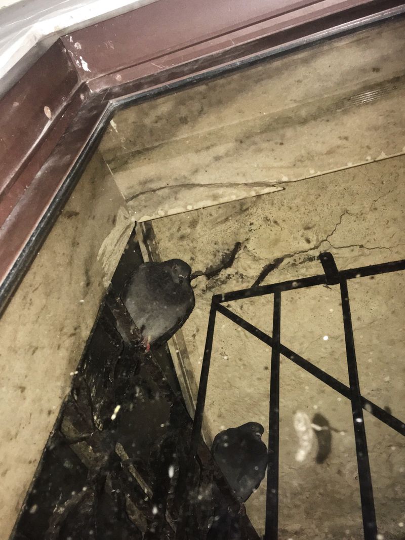 © Chandni Gajria - Image from the "I was here for a moment and then I was gone..." photography project