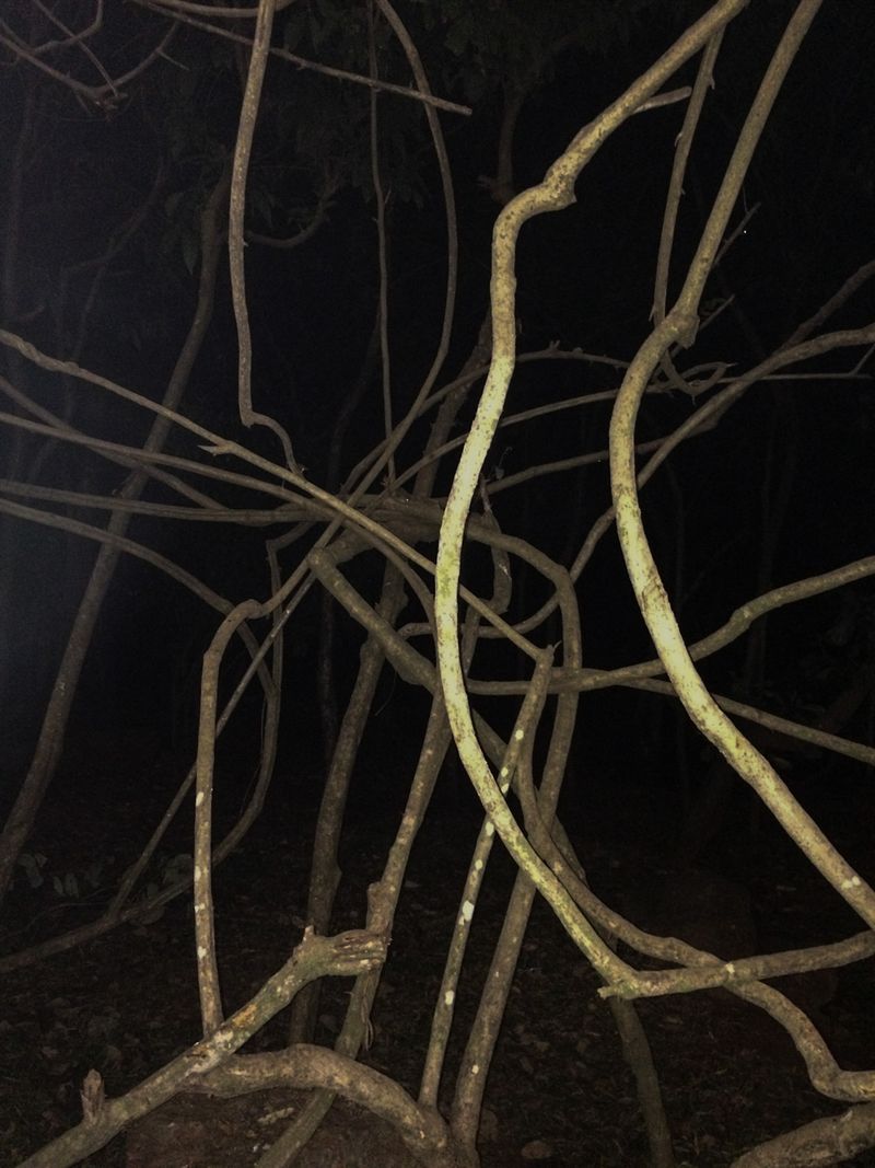 © Chandni Gajria - Image from the "I was here for a moment and then I was gone..." photography project