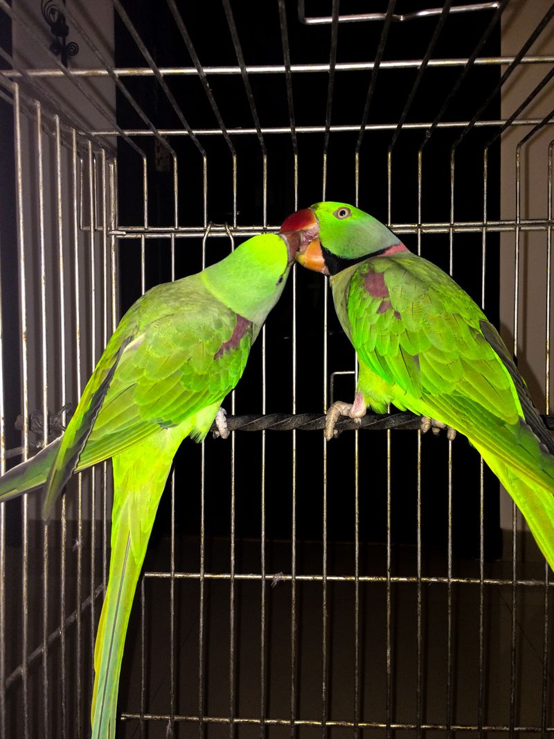 © Chandni Gajria - Image from the "I was here for a moment and then I was gone..." photography project