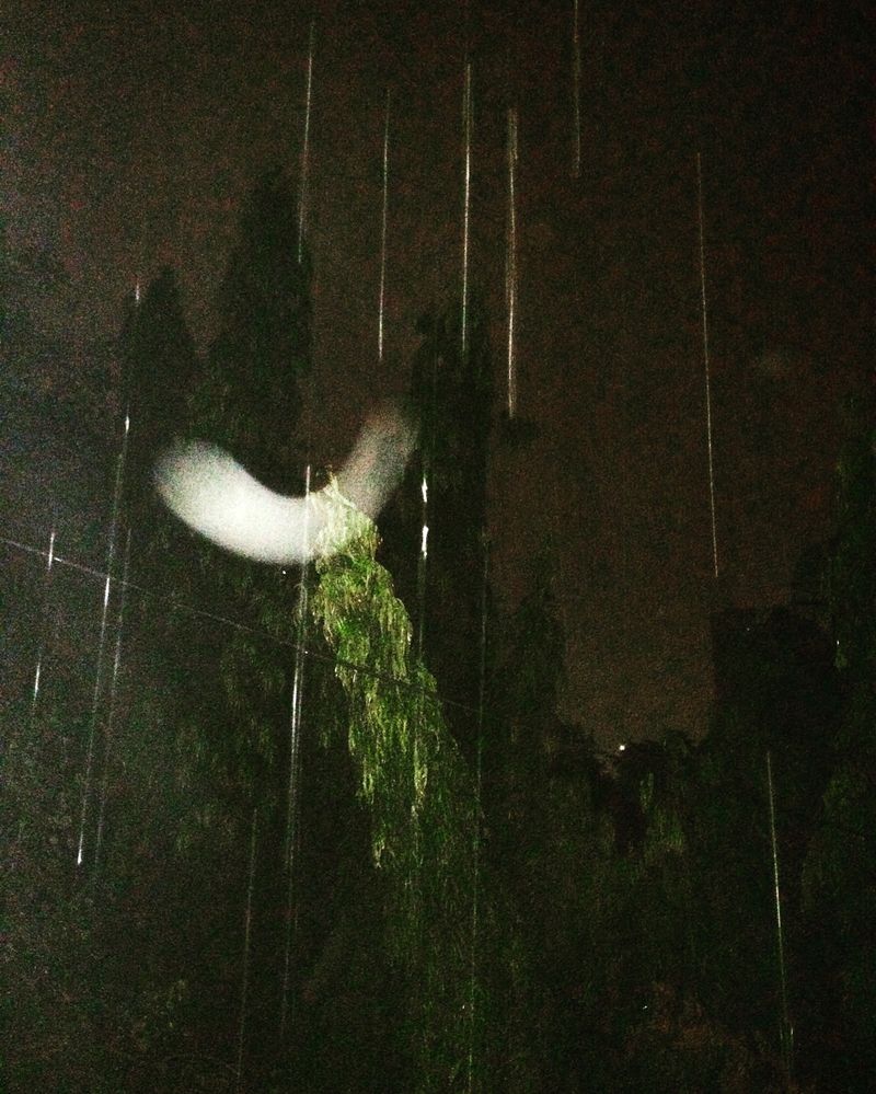 © Chandni Gajria - Image from the "I was here for a moment and then I was gone..." photography project