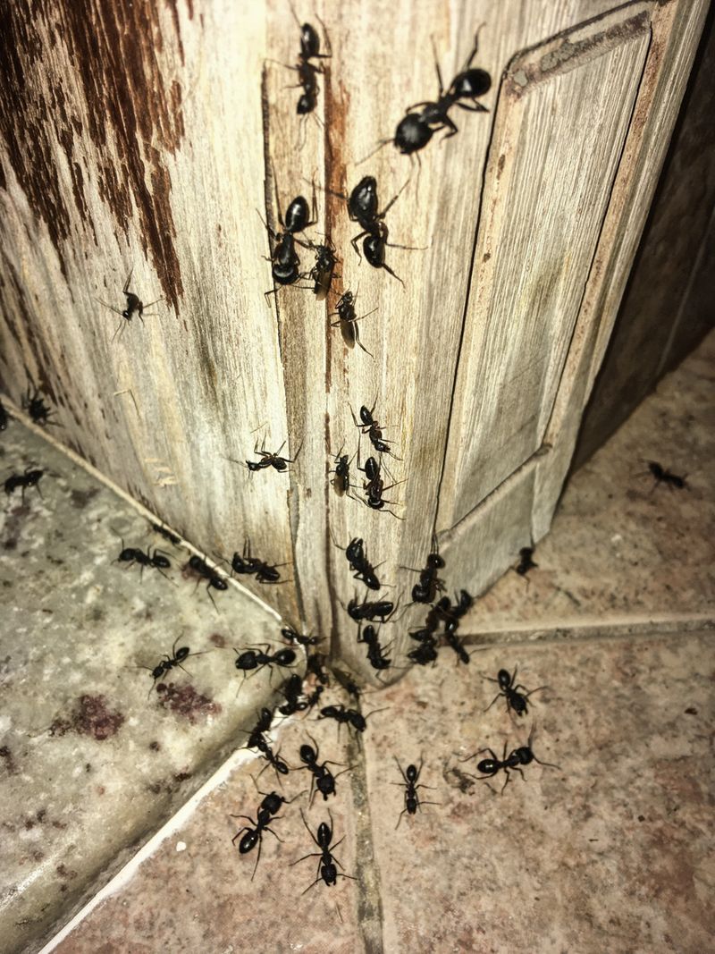 © Chandni Gajria - Image from the "I was here for a moment and then I was gone..." photography project