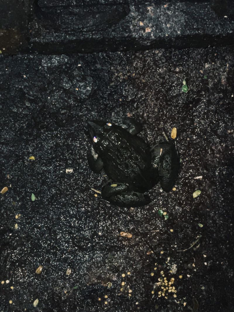 © Chandni Gajria - Image from the "I was here for a moment and then I was gone..." photography project