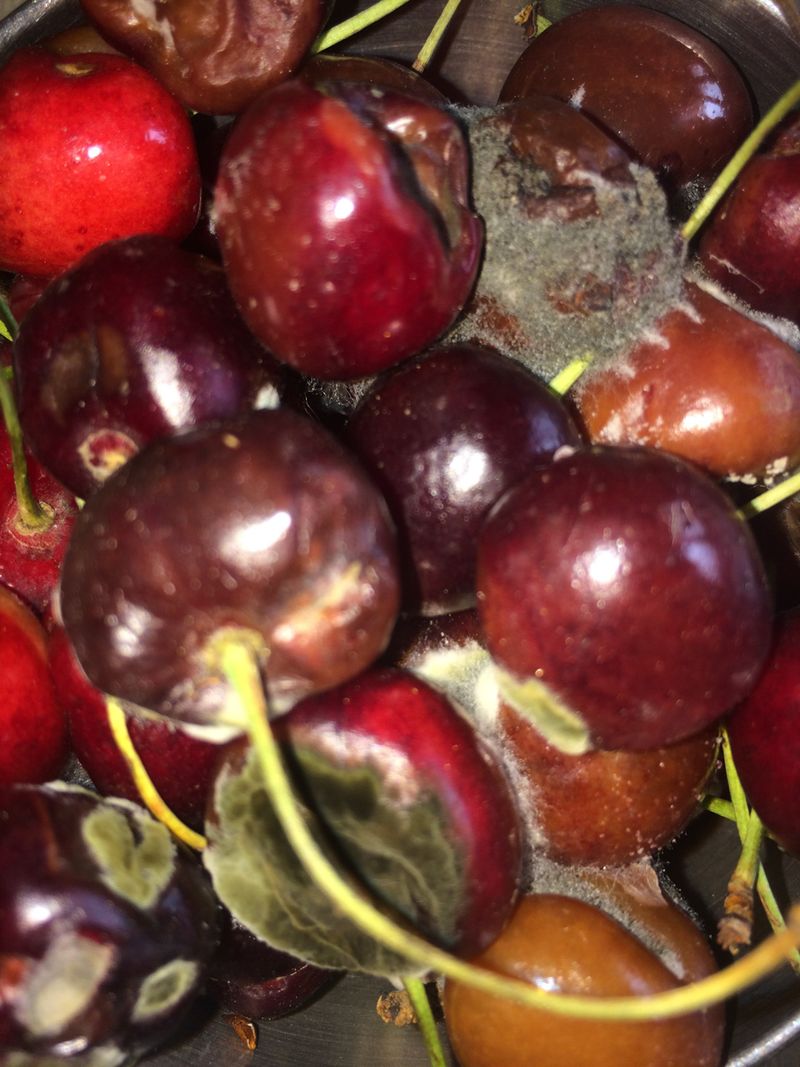 © Chandni Gajria - Image from the "I was here for a moment and then I was gone..." photography project