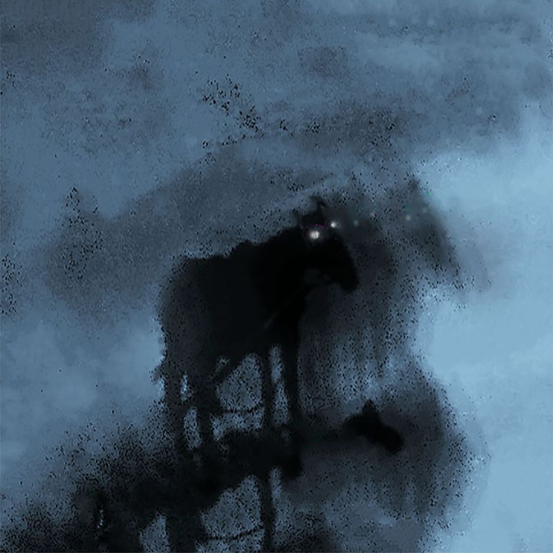 © Lesia Maruschak - The Horse Died Next