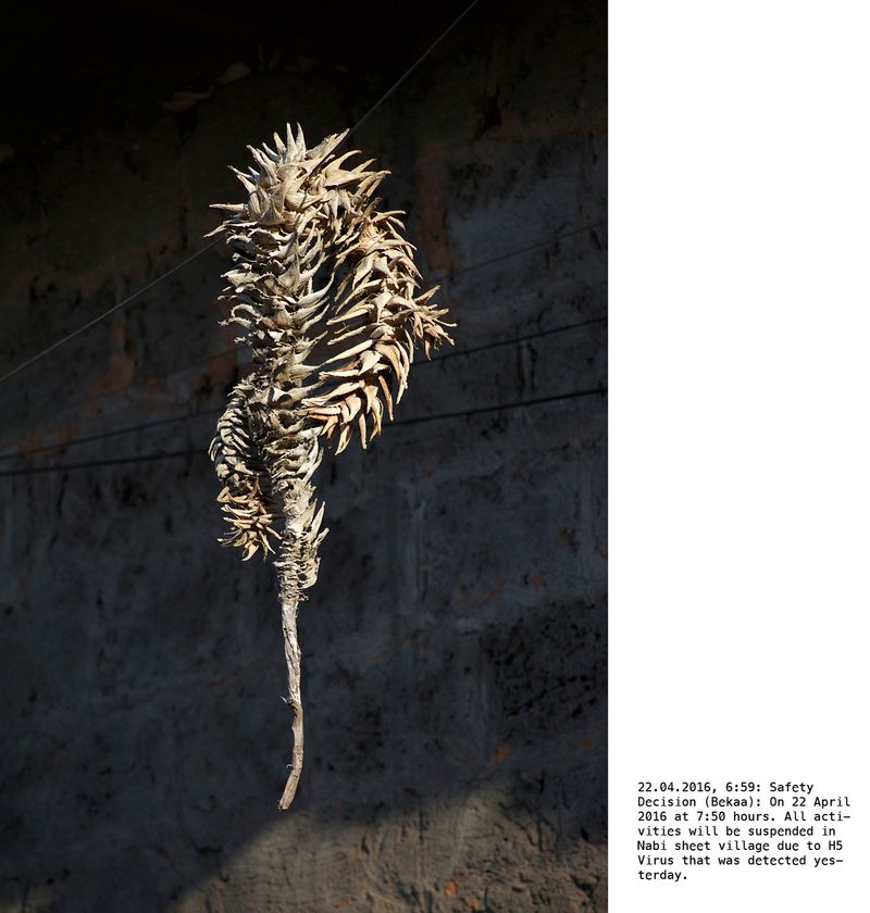 © Marta Bogdanska - Image from the PLAINTEXT photography project