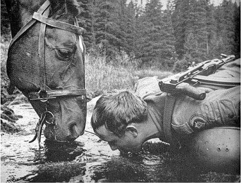 © Marta Bogdanska - Public domain, from the project SHIFTERS